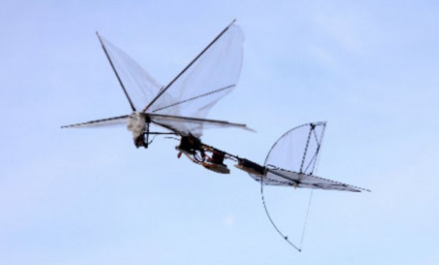 IAI“蝴蝶”無人機