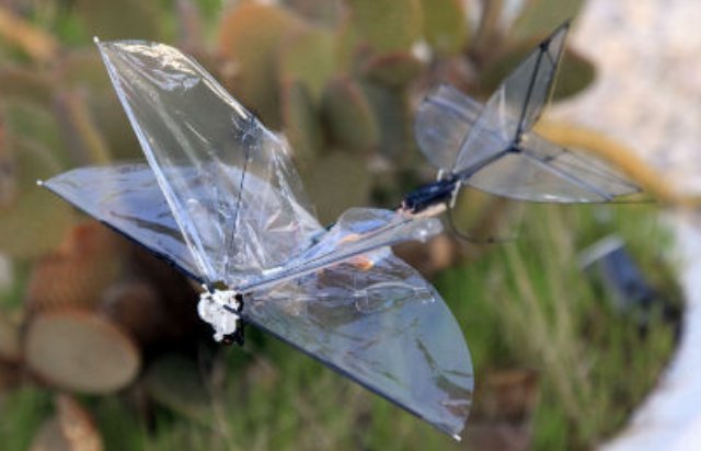 “蝴蝶”無人機可搭載重量不足1克的微型照相機