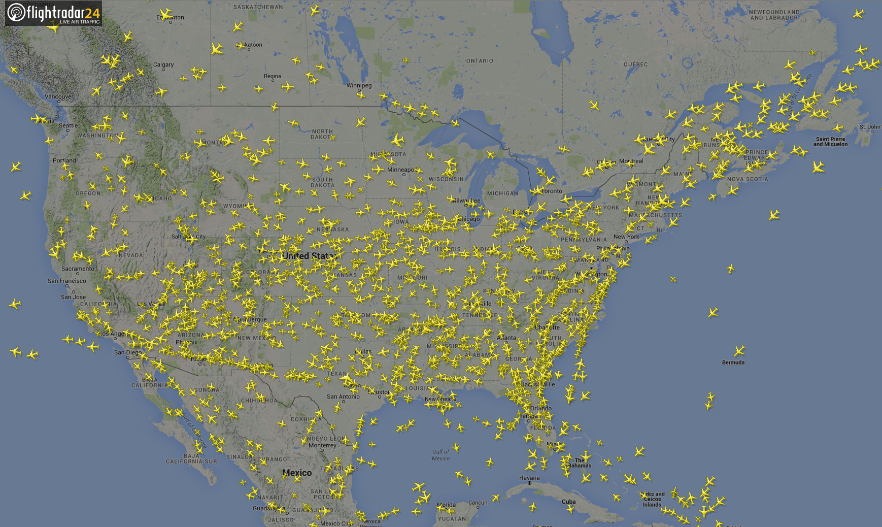 Tracker flight Best Flight