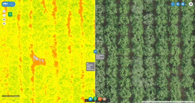 AeroVironment and Fresno State will collect highly detailed photogrammetric and multispectral imagery, such as this NDVI image of an almond orchard, to analyze water use while developing smarter insights from the data.
